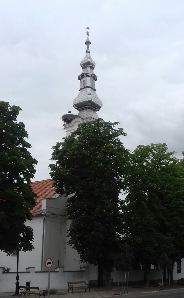 Lakott gólyafészek harkányi templomtornyon
