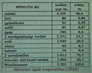 muvelesi-agak-megoszlasa---2016.jpg