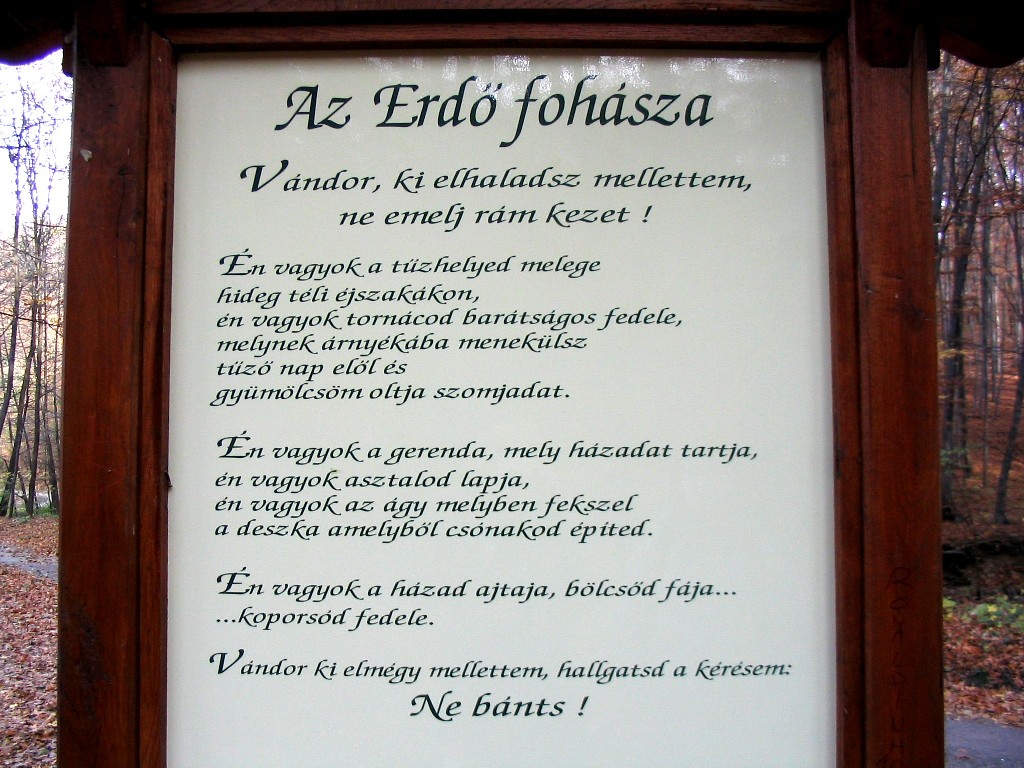 Képtalálat a következőre: az erdő fohásza