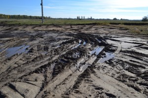 Termeszetkarositas_4